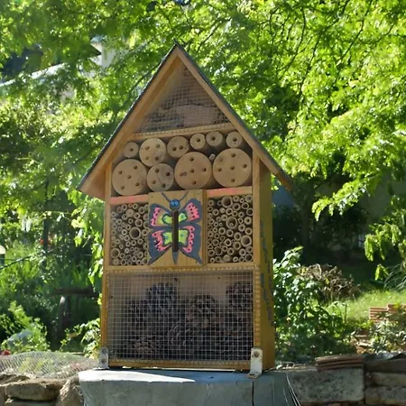 Bed & Breakfast La Cadanise, Etoilee 4*